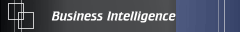 Business Intelligence
