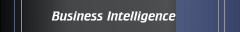 Business Intelligence